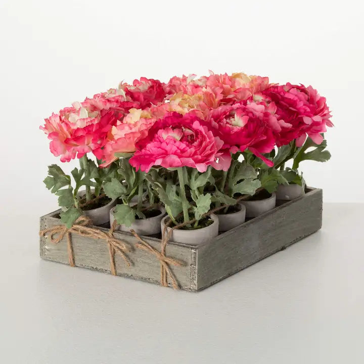 Elegant Potted Pink Peony
