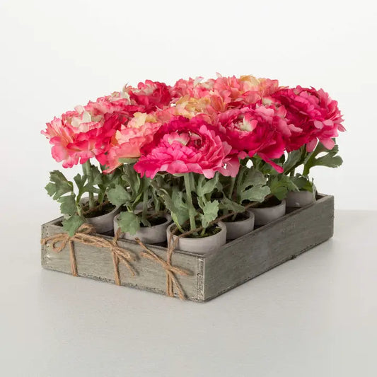 Elegant Potted Pink Peony