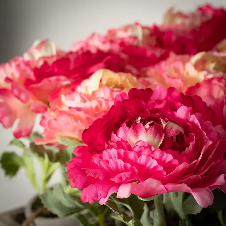 Elegant Potted Pink Peony